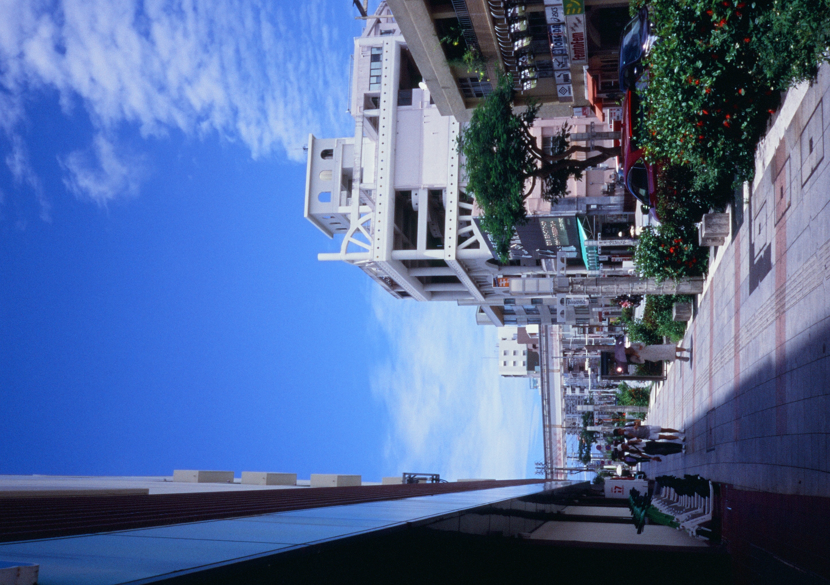 Roll #8 — Pentax 17 6