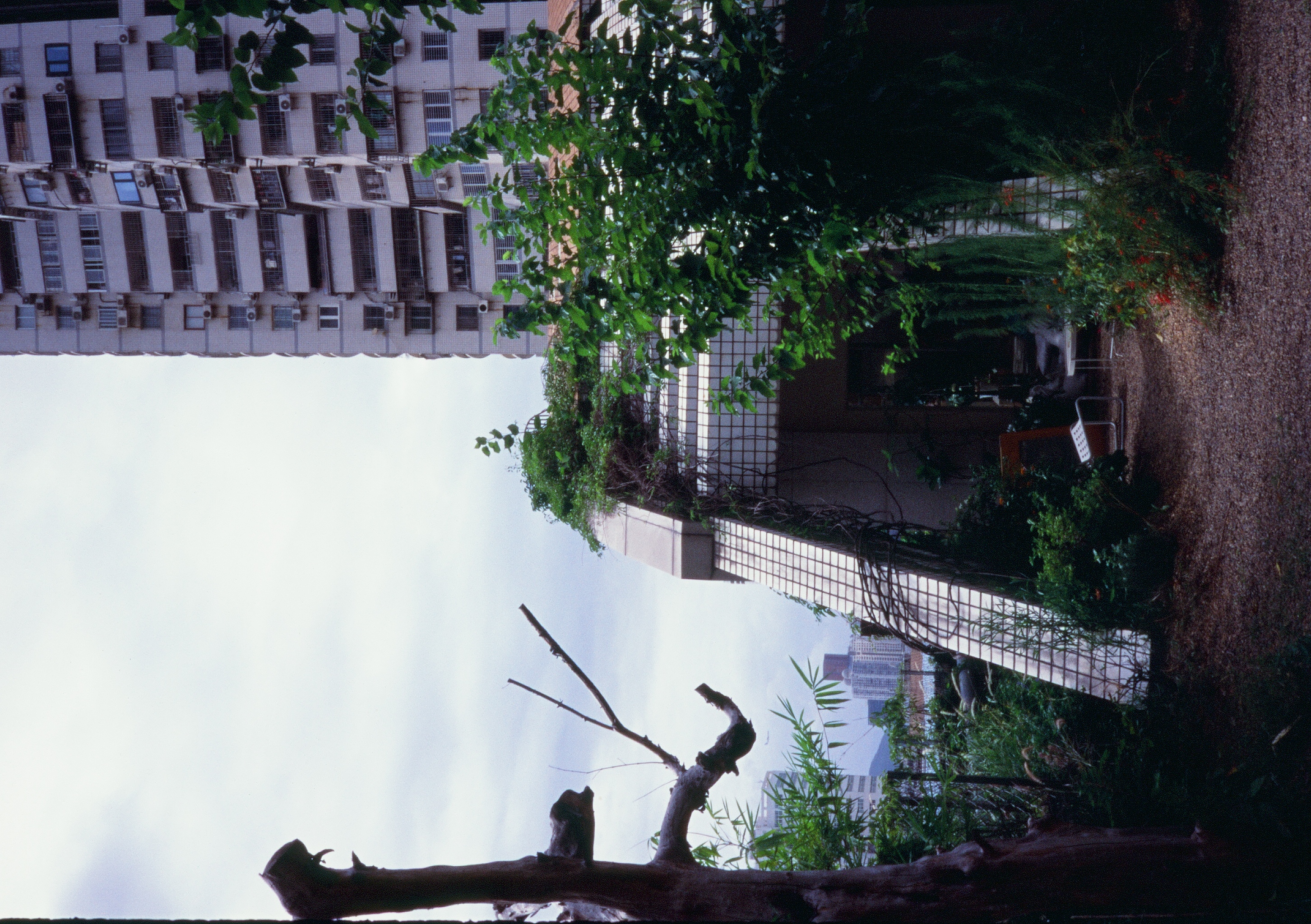 Roll #8 — Pentax 17 10