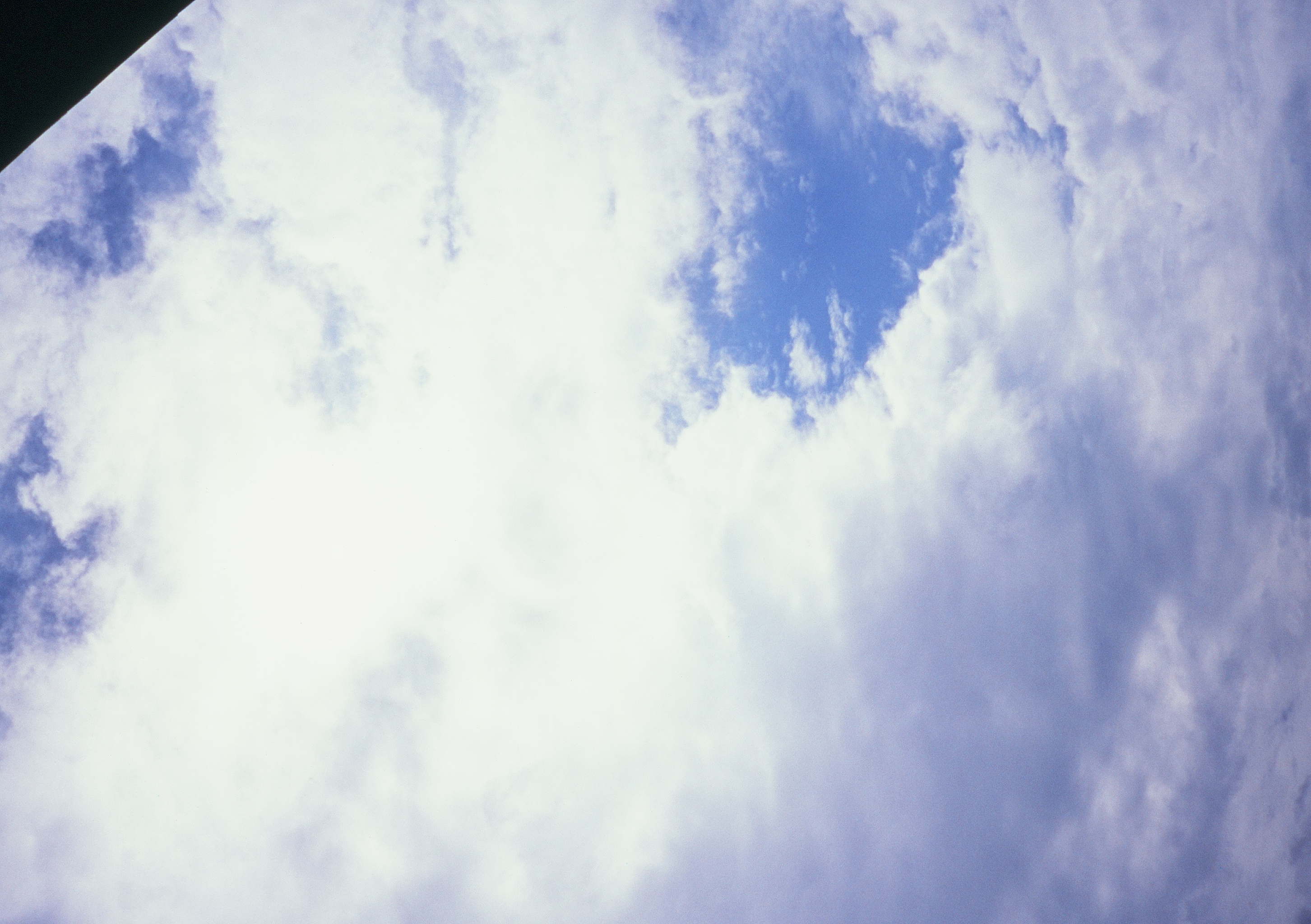 Roll #8 — Pentax 17 12