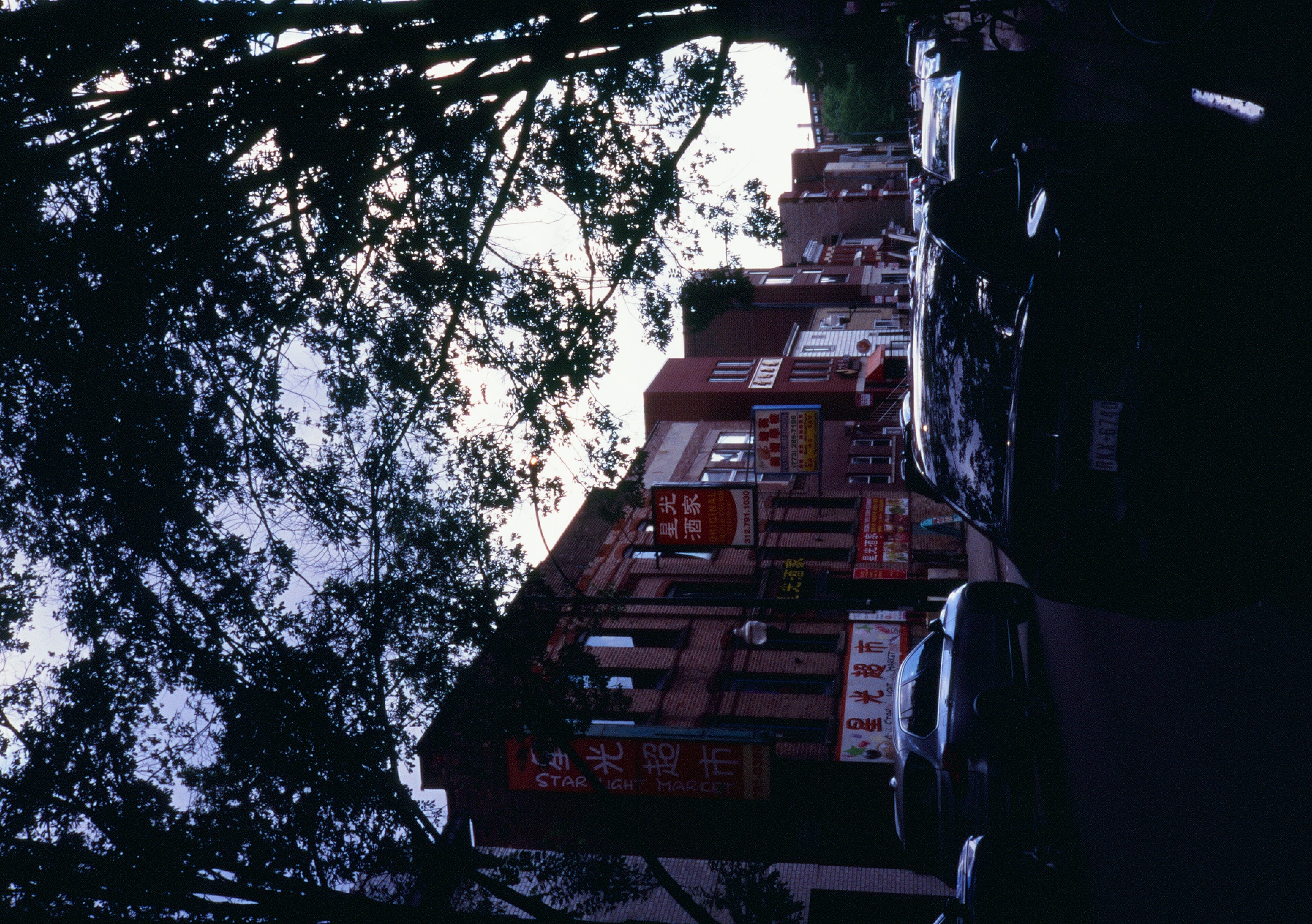 Roll #8 — Pentax 17 16