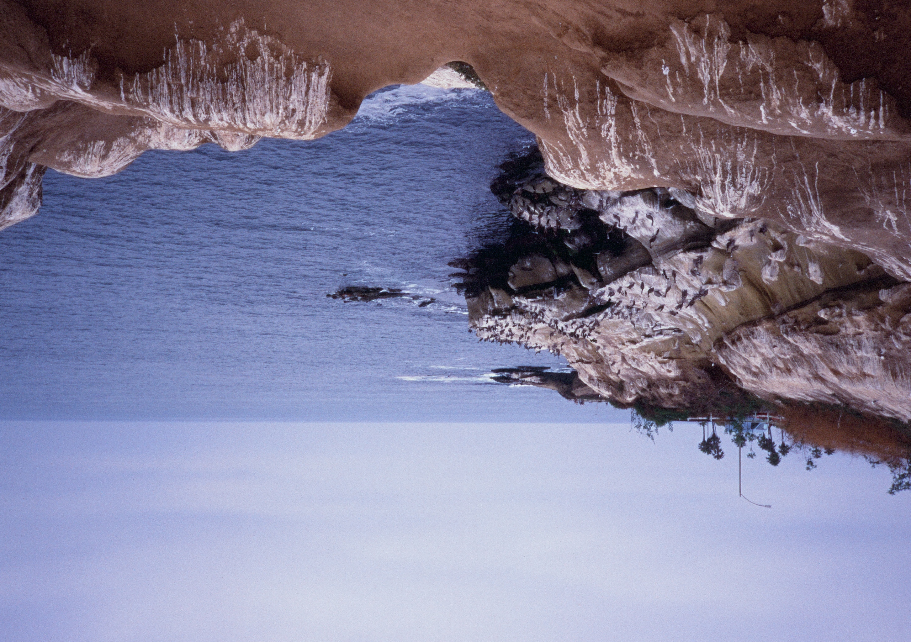 Roll #8 — Pentax 17 30