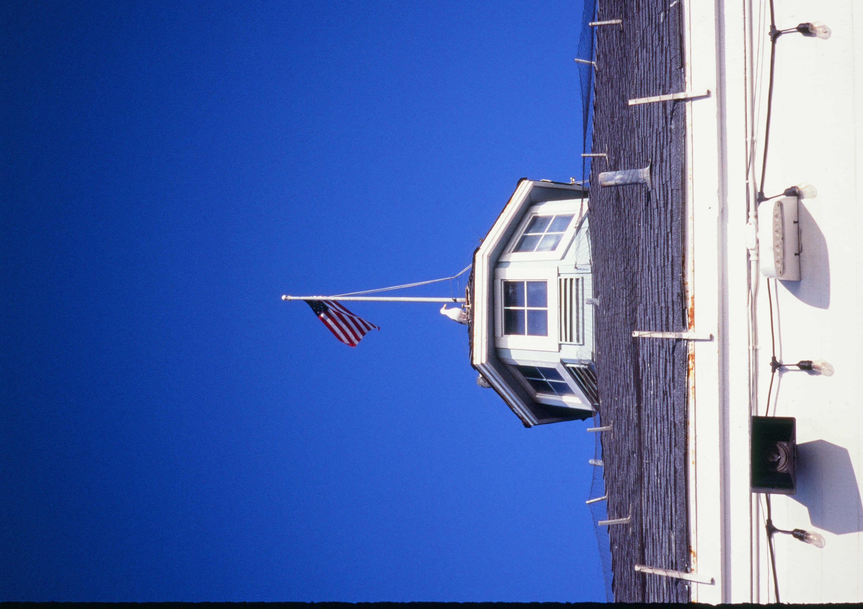 Roll #8 — Pentax 17 31