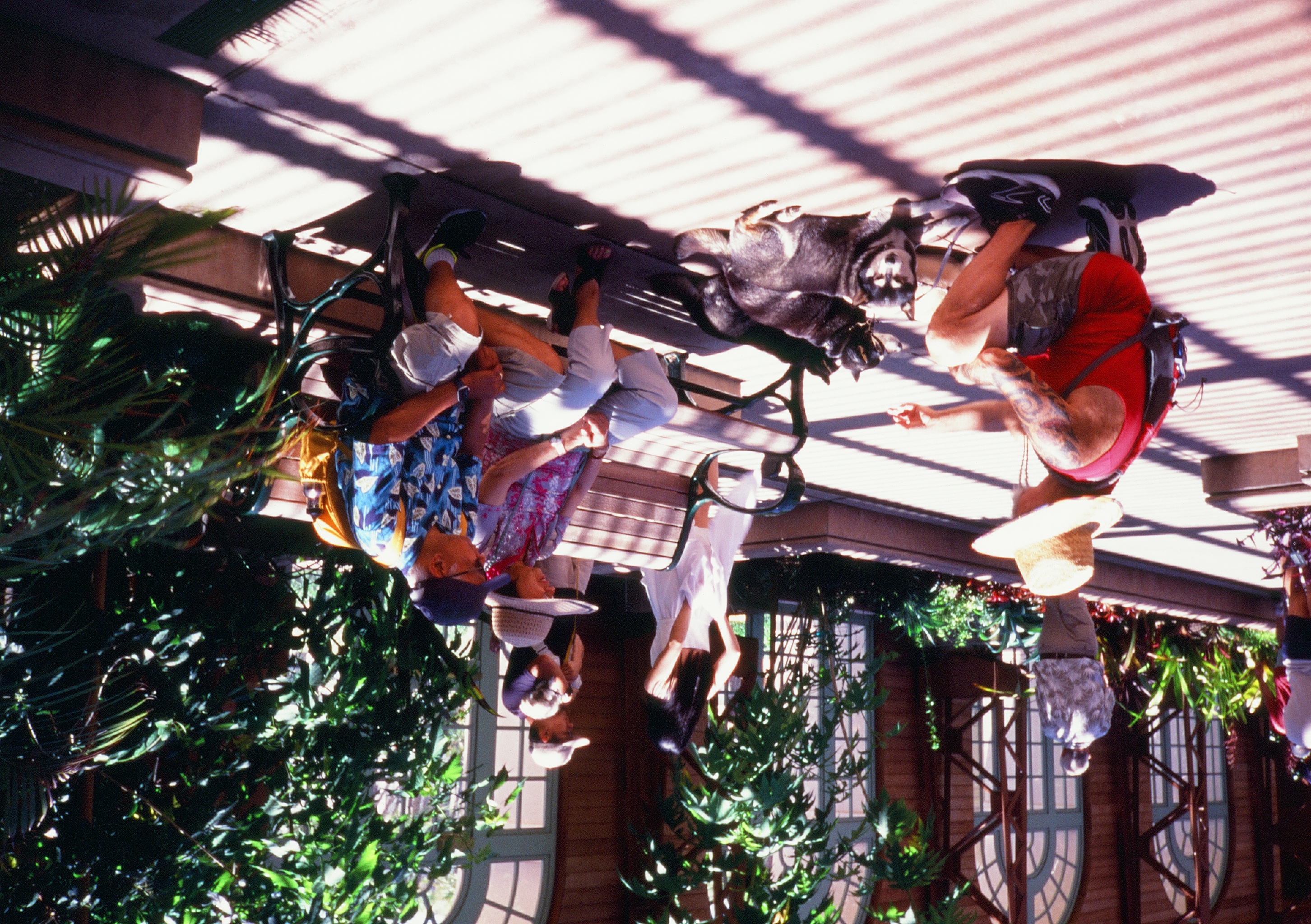 Roll #8 — Pentax 17 34