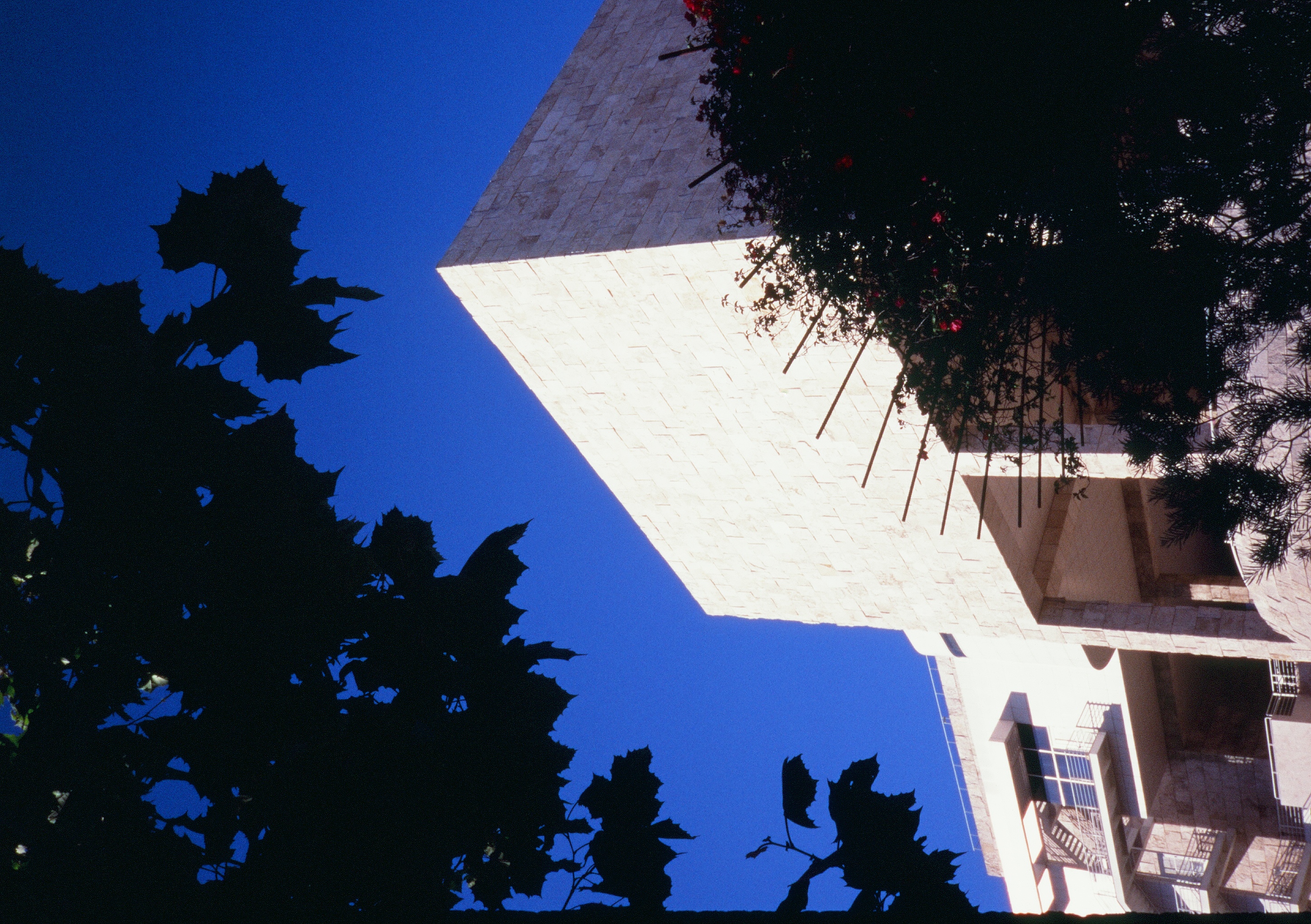 Roll #8 — Pentax 17 36