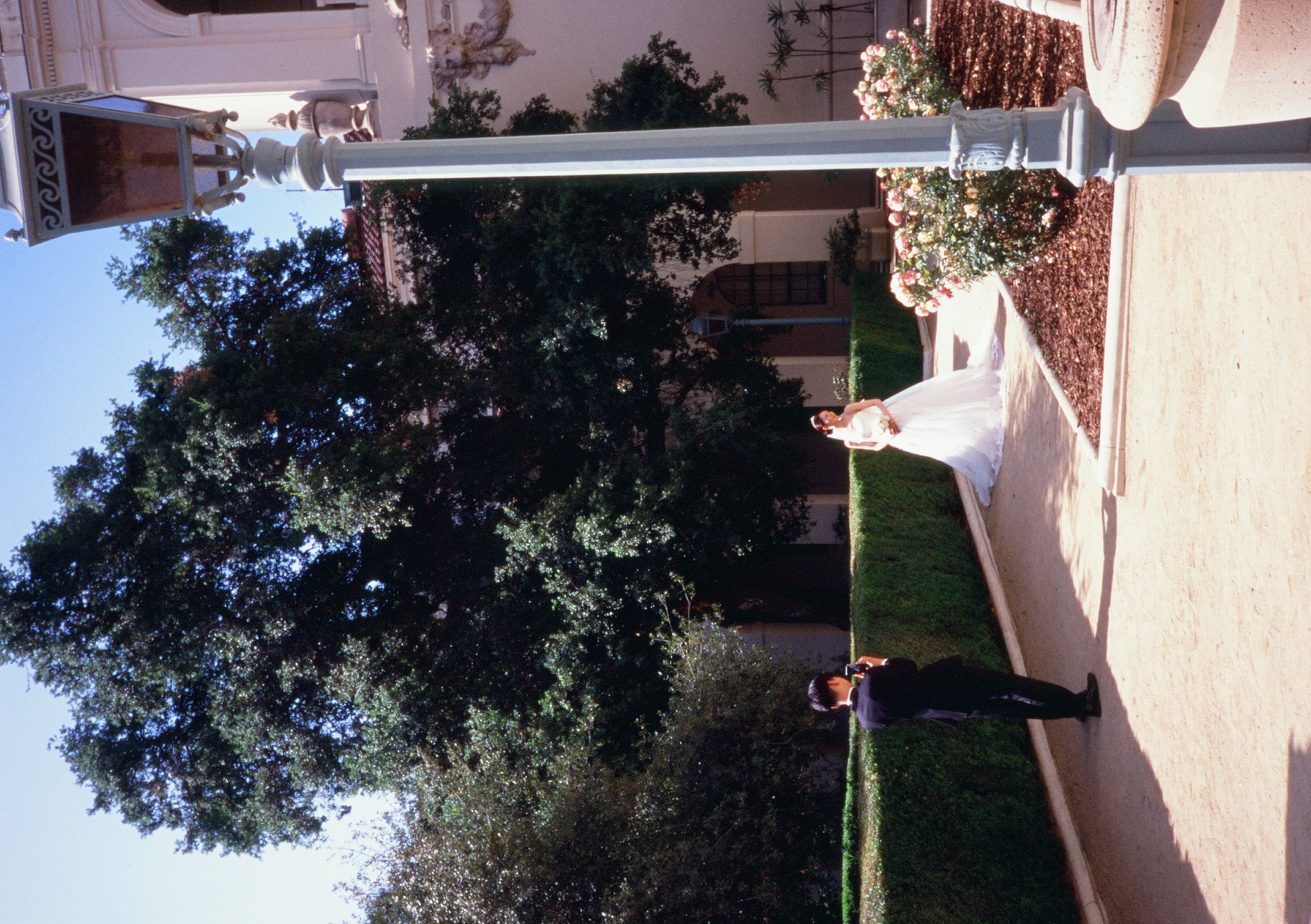 Roll #8 — Pentax 17 50