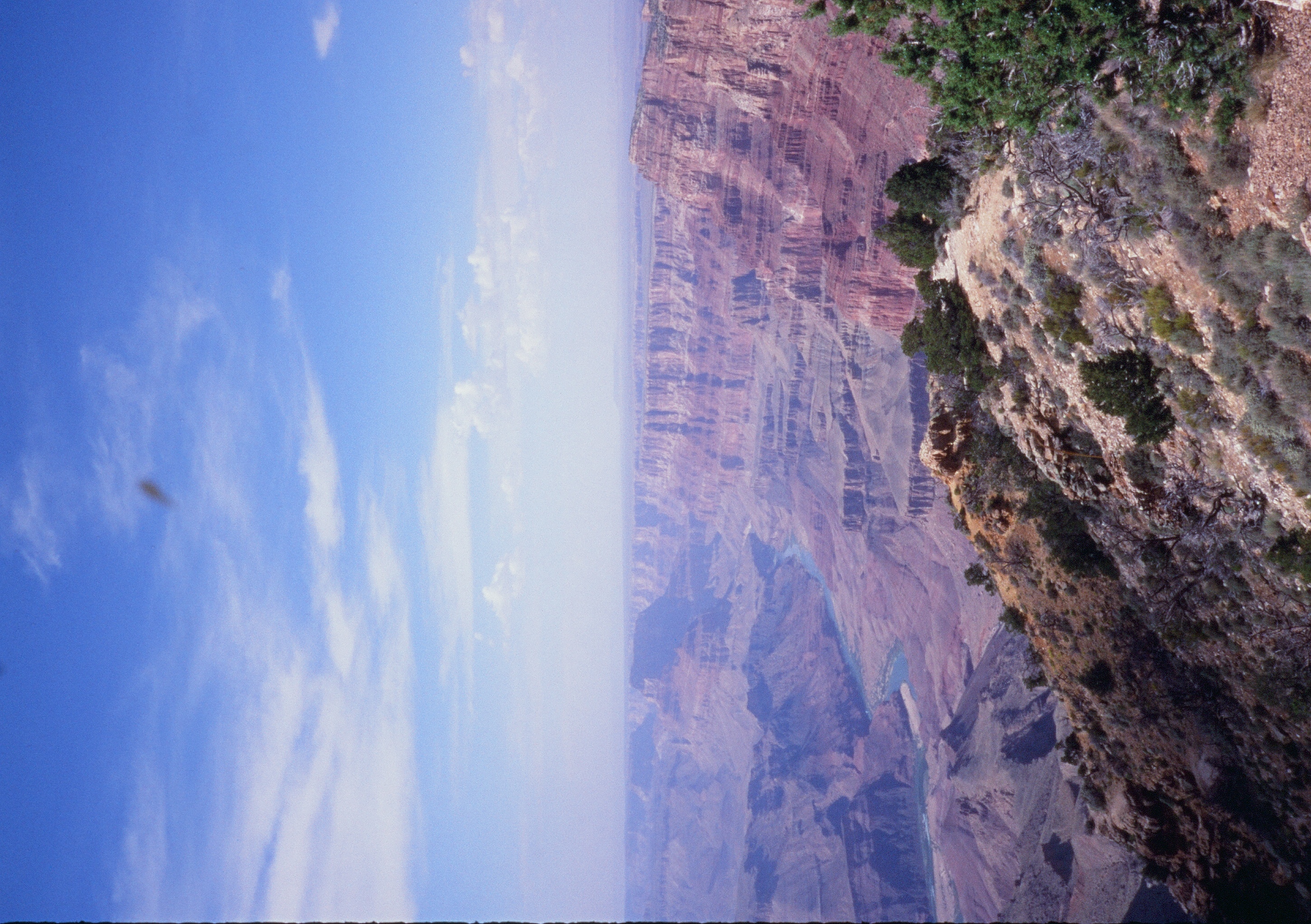 Roll #8 — Pentax 17 52