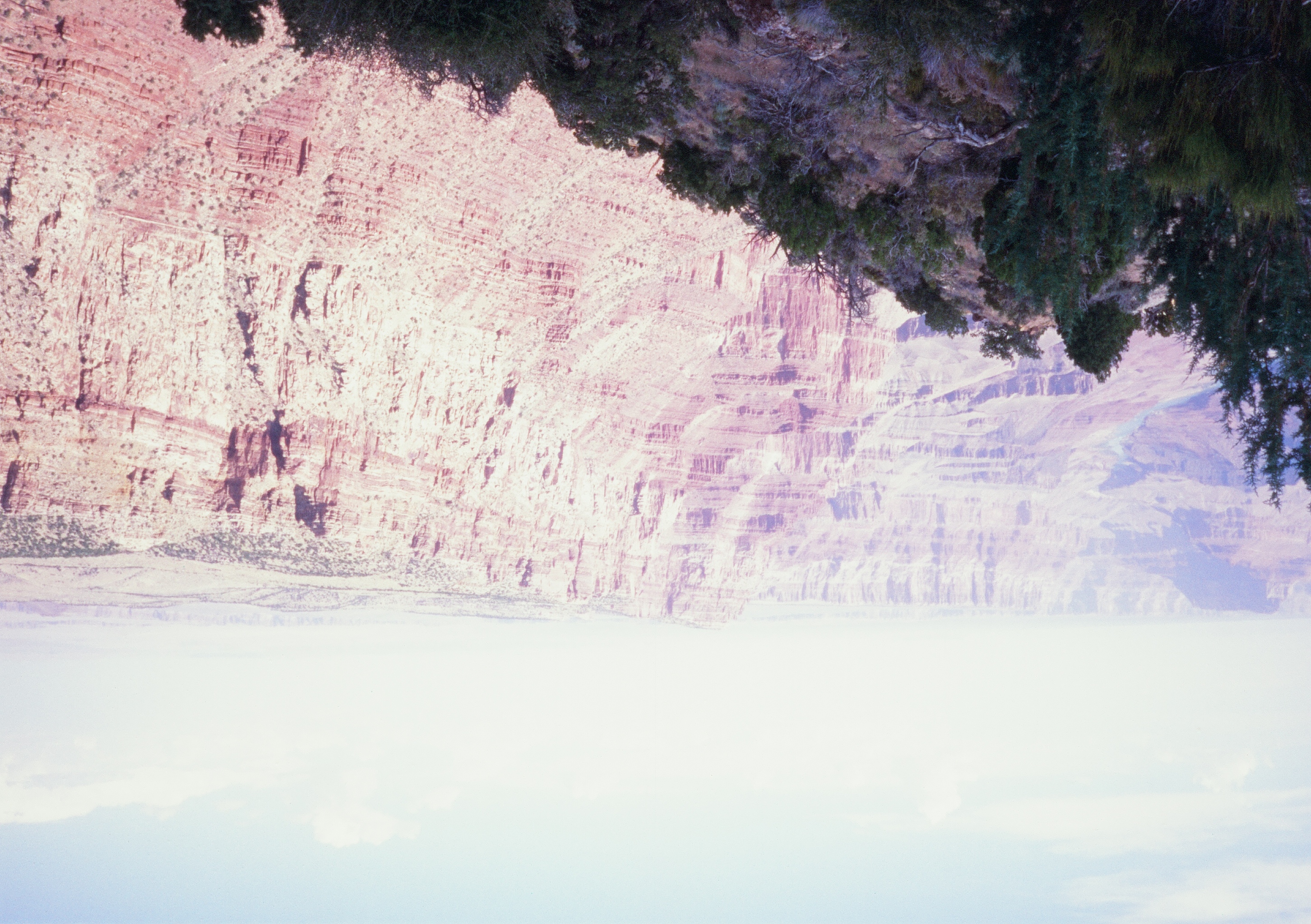 Roll #8 — Pentax 17 53