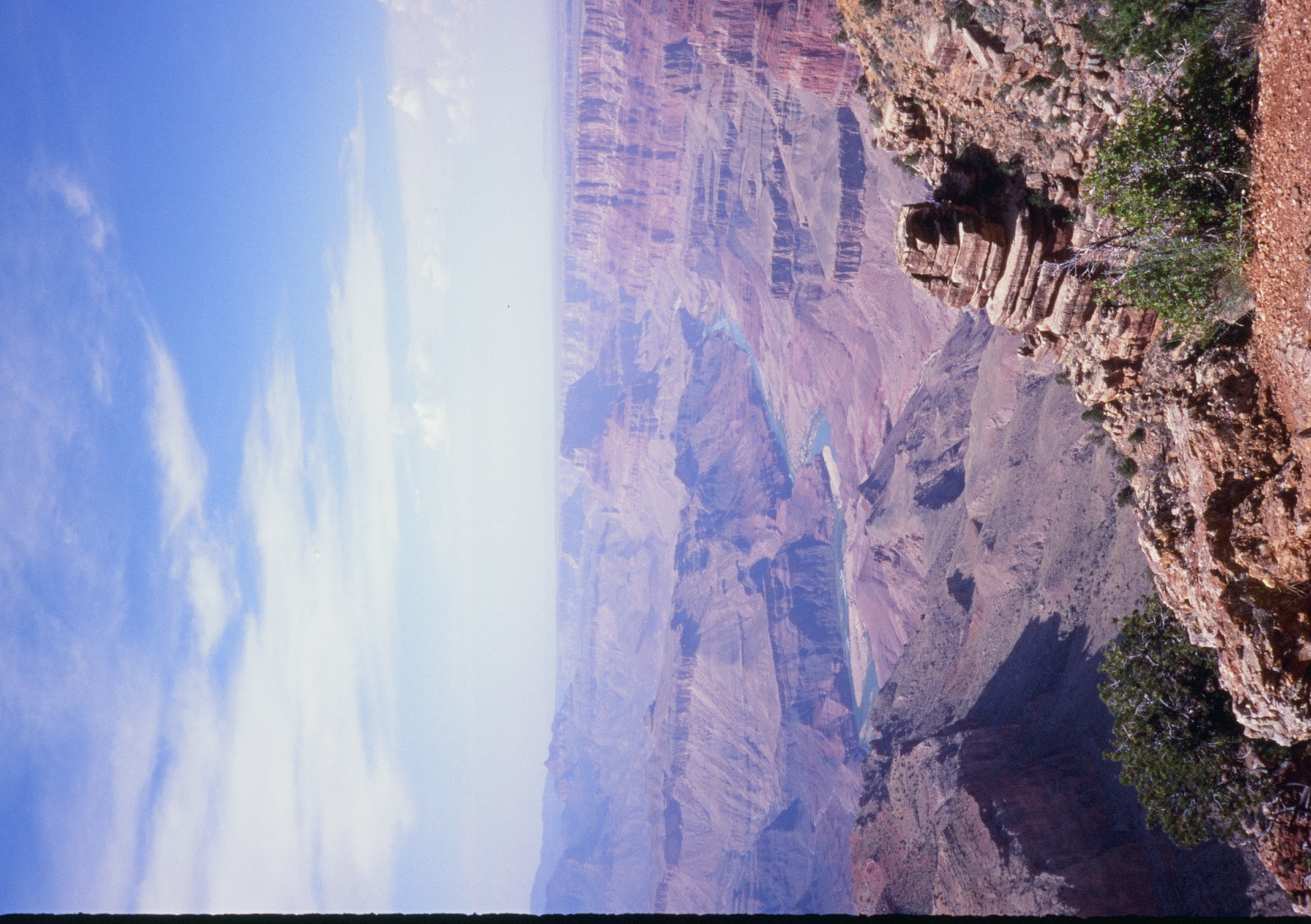 Roll #8 — Pentax 17 54