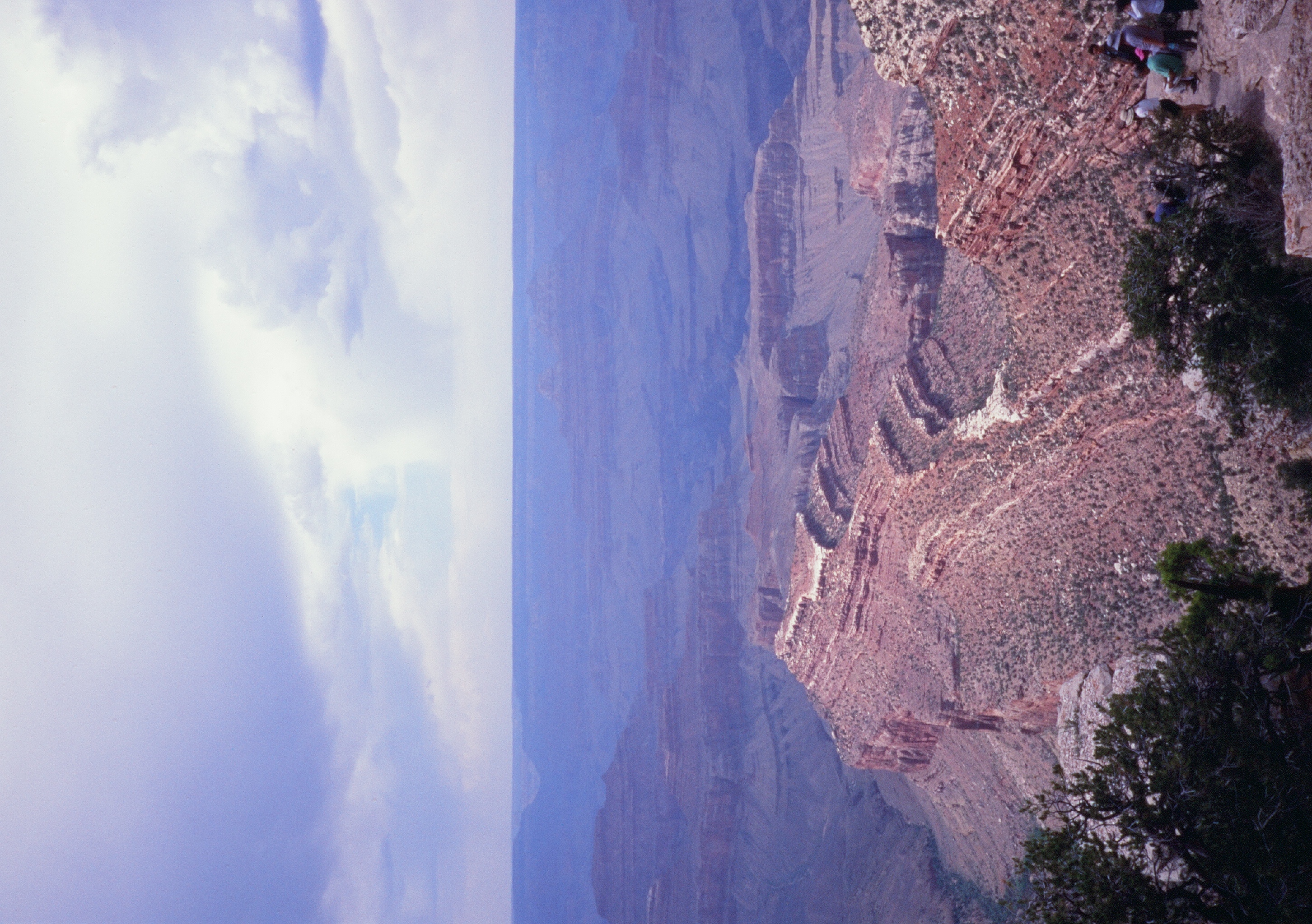 Roll #8 — Pentax 17 55