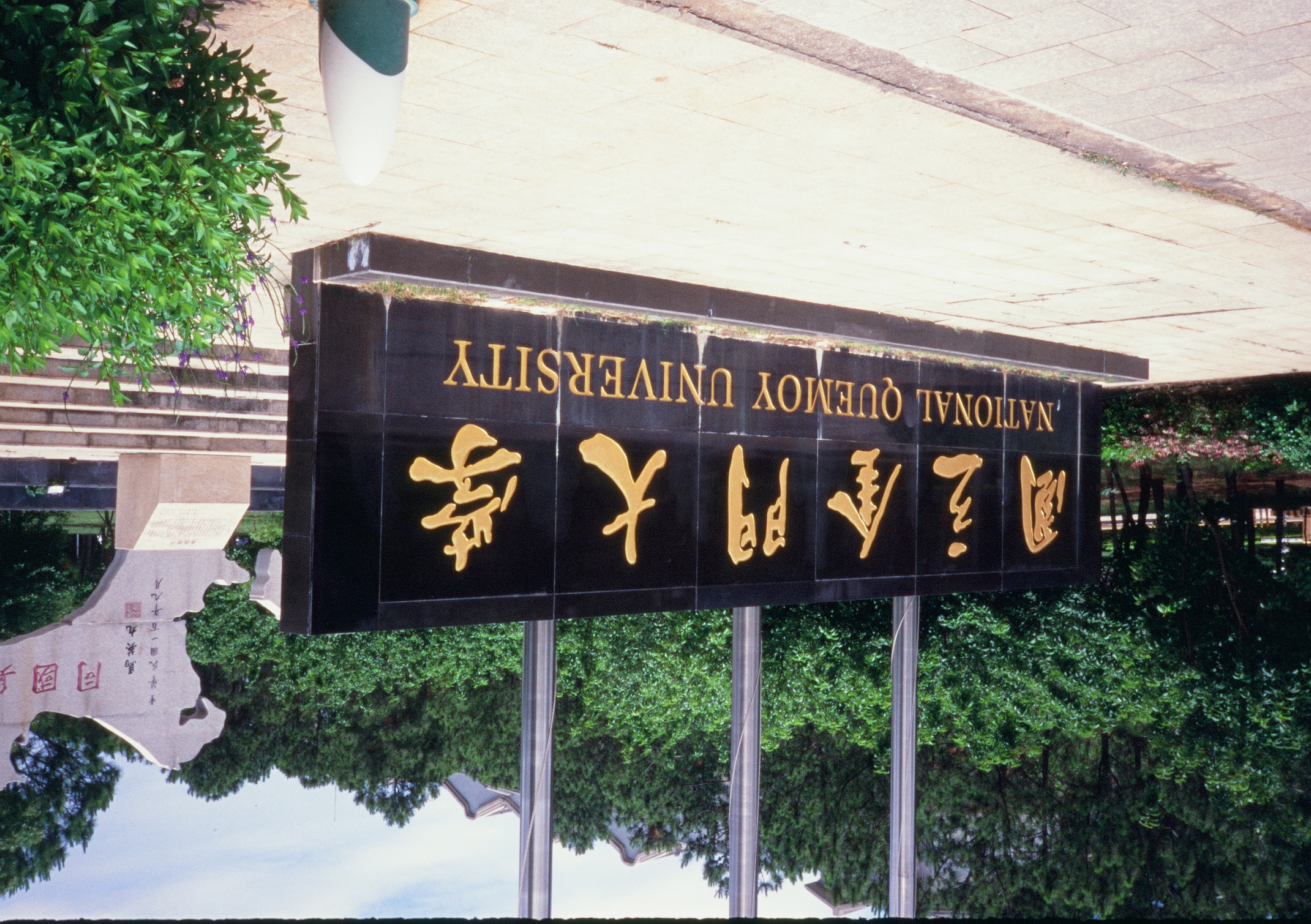 Roll #8 — Pentax 17 64