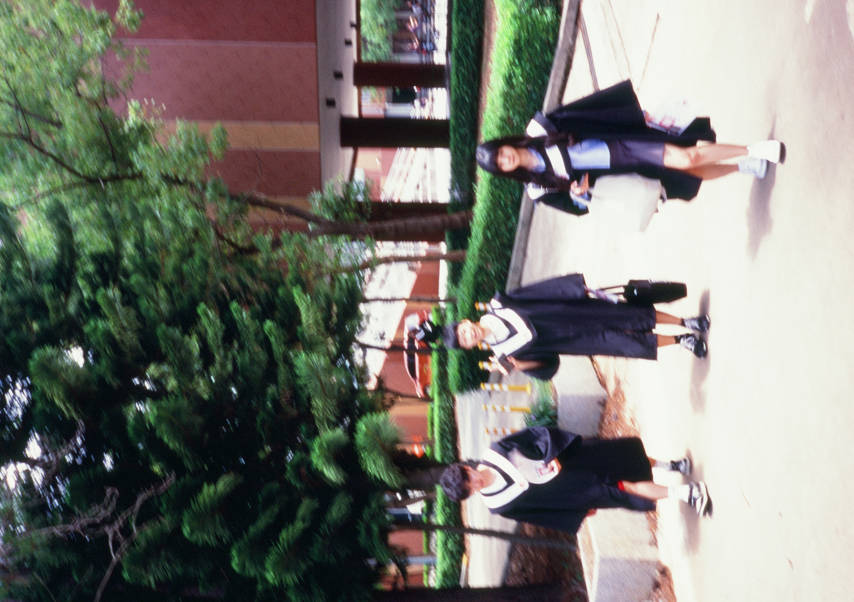 Roll #8 — Pentax 17 65