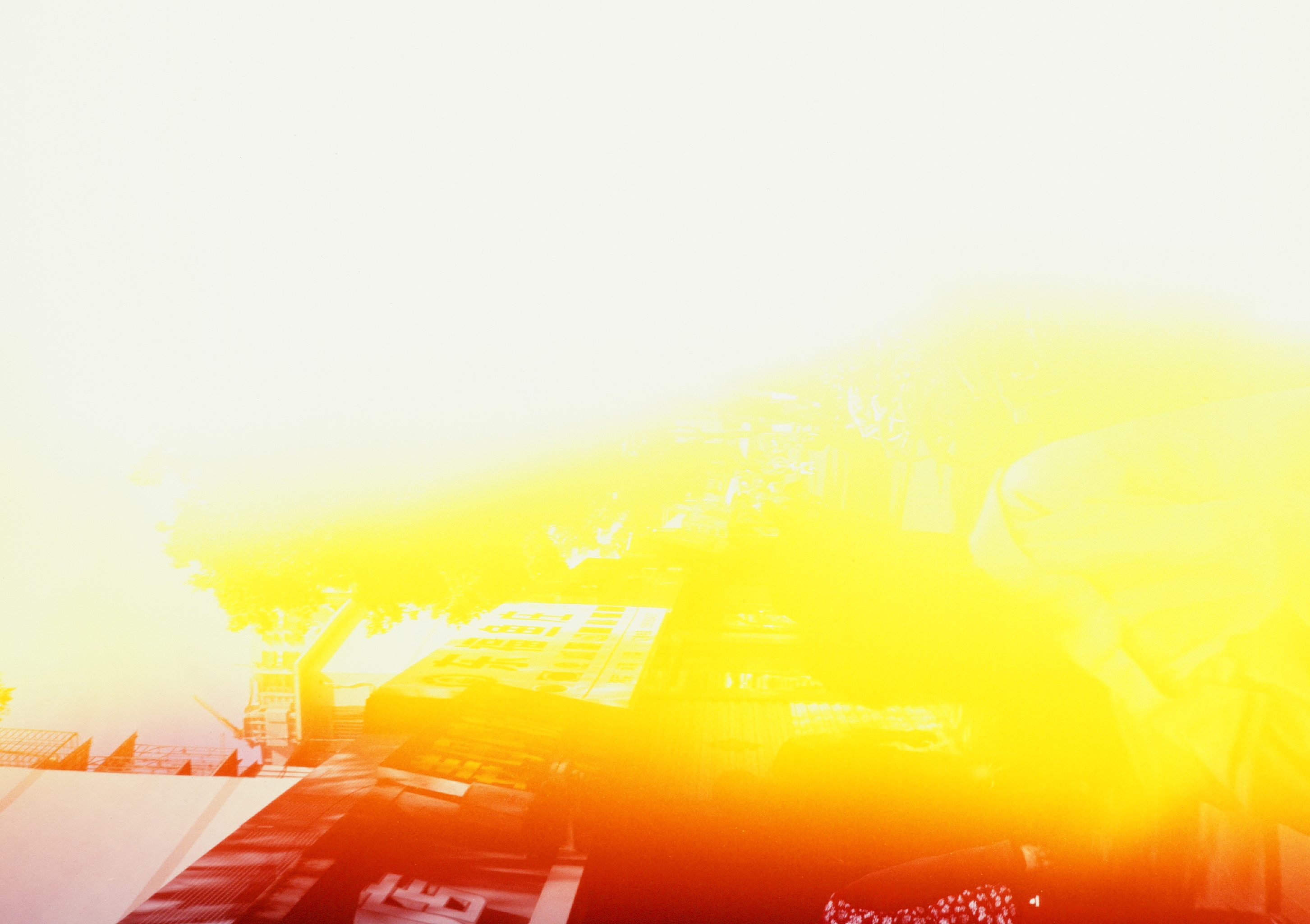 Roll #8 — Pentax 17 71