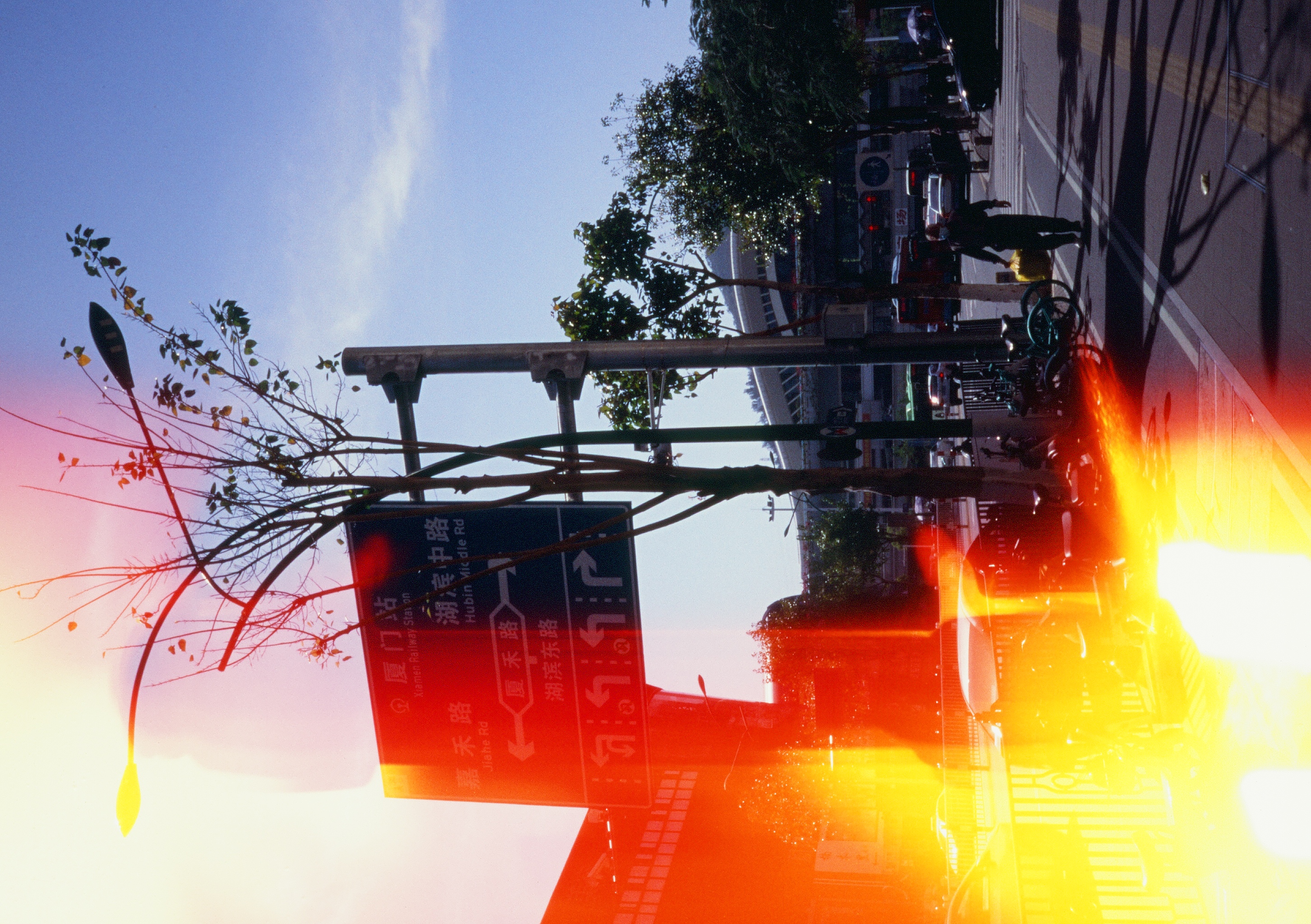 Roll #8 — Pentax 17 73