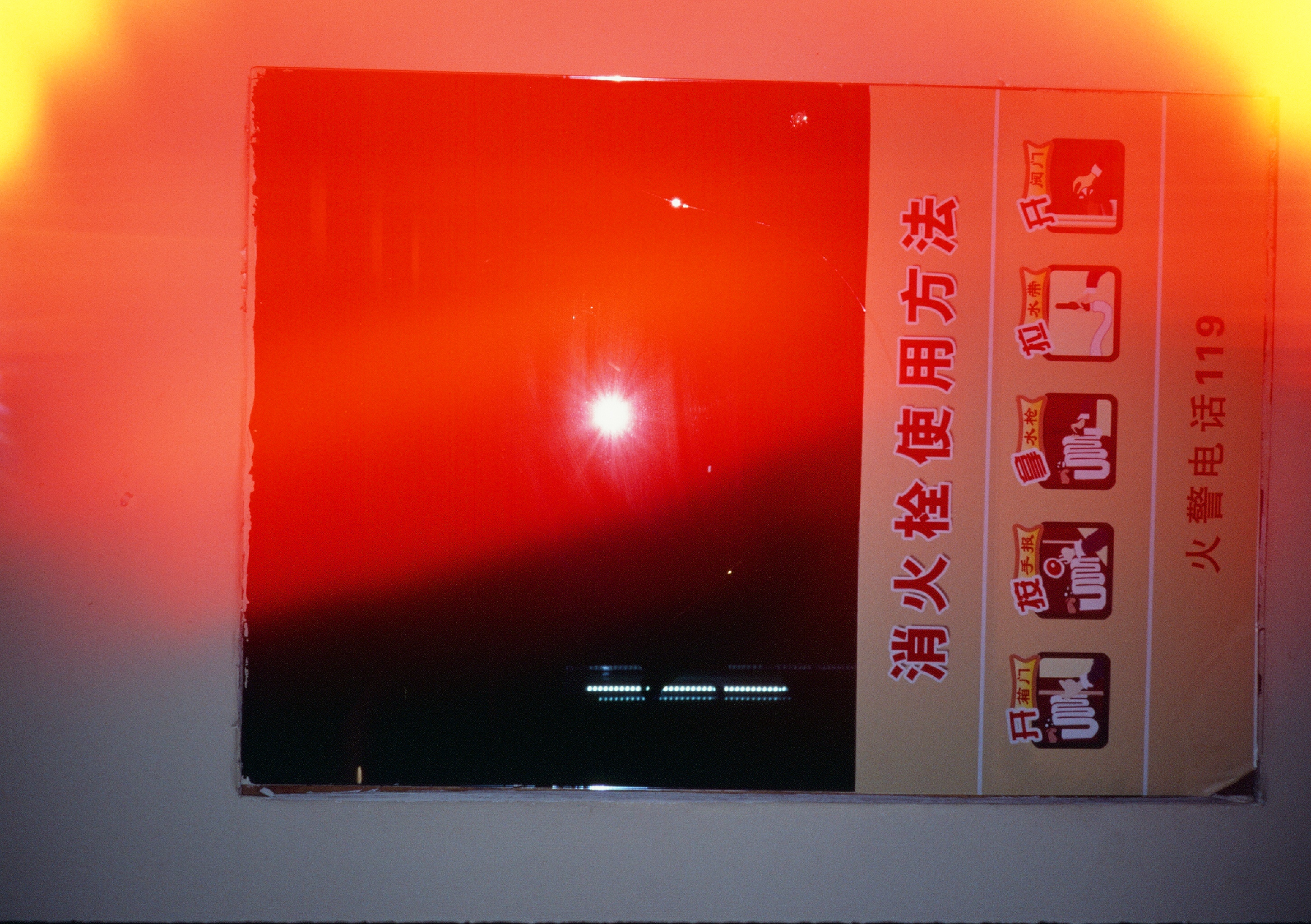 Roll #8 — Pentax 17 74