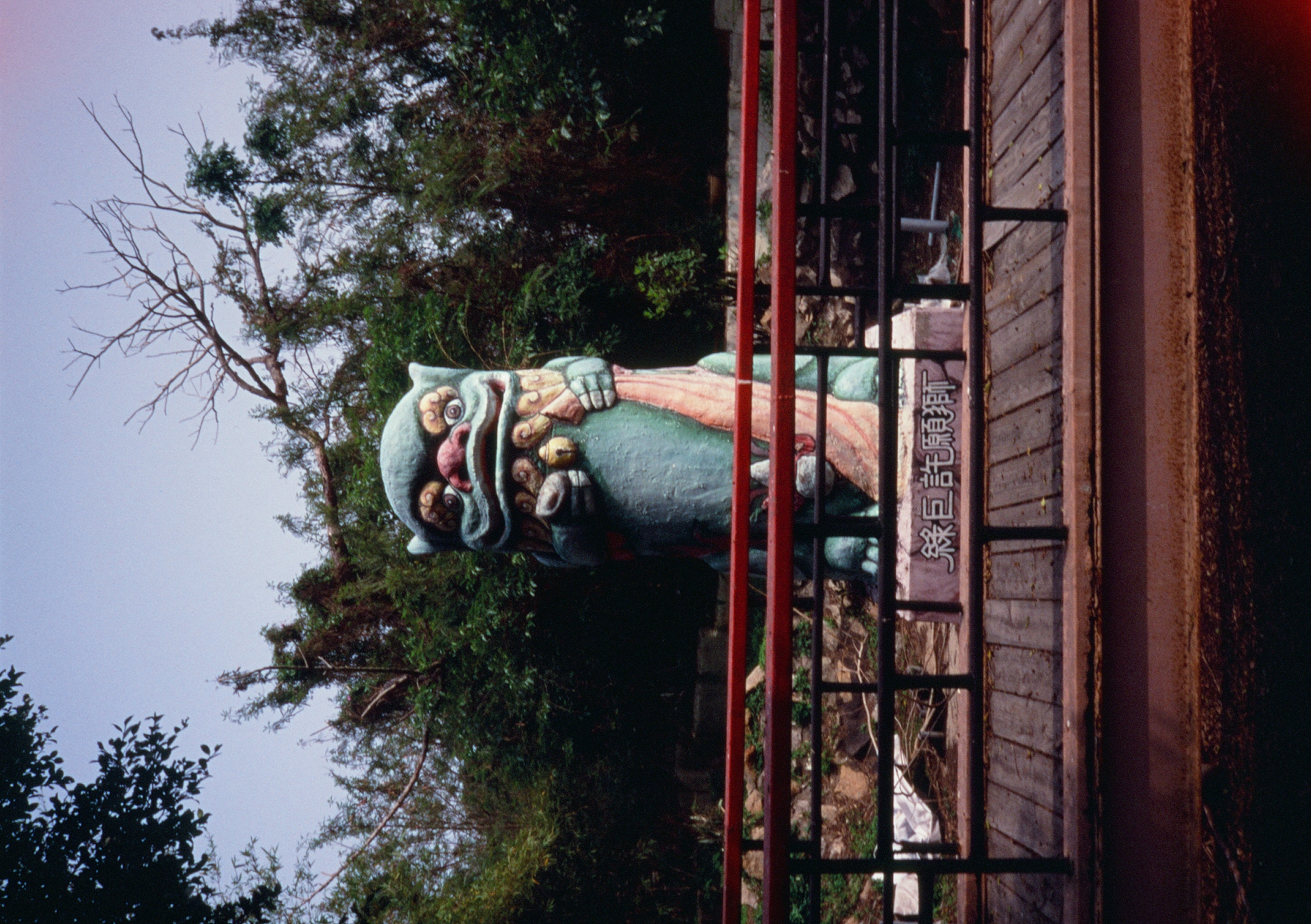 Roll #8 — Pentax 17 77