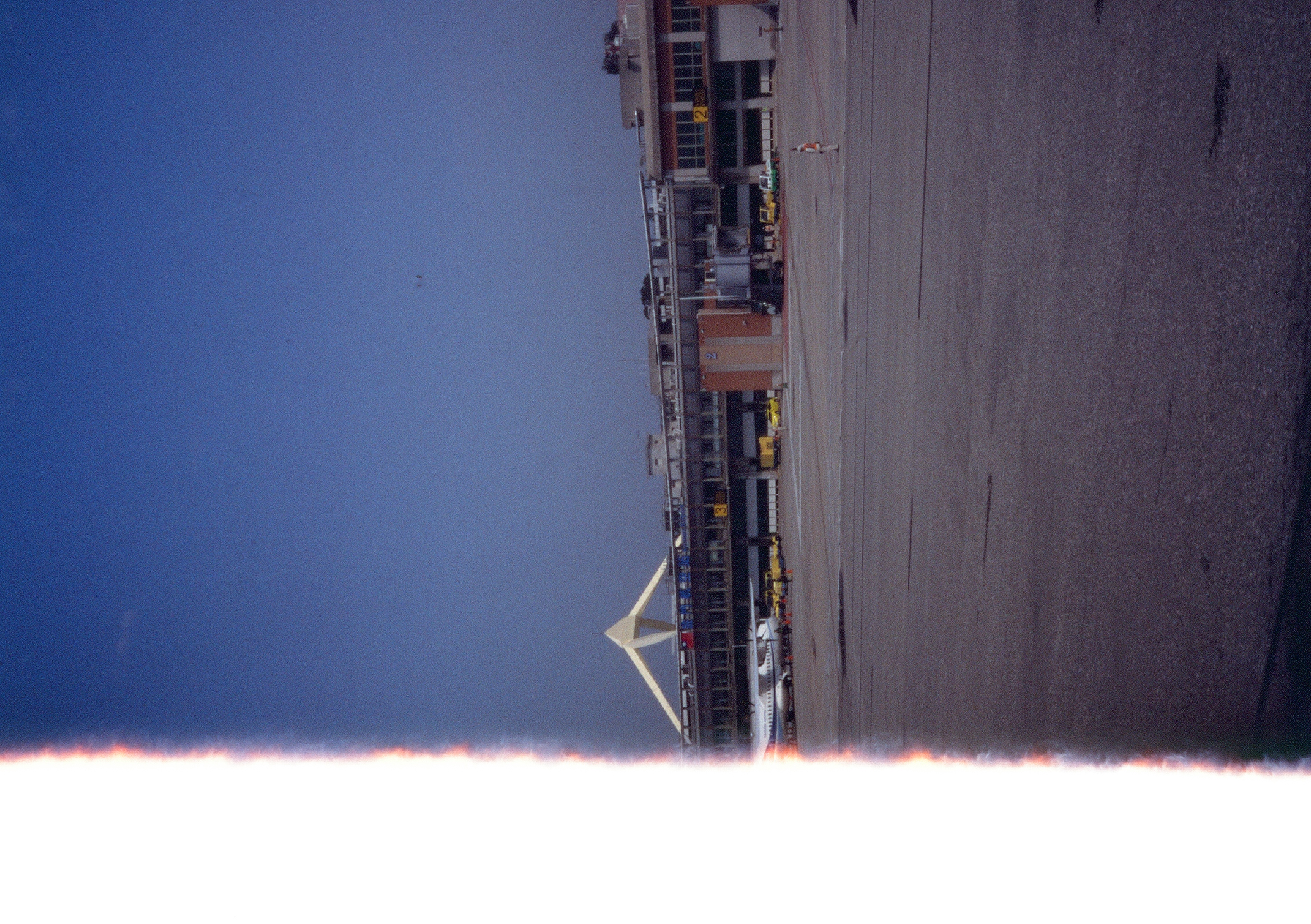 Roll #8 — Pentax 17 81