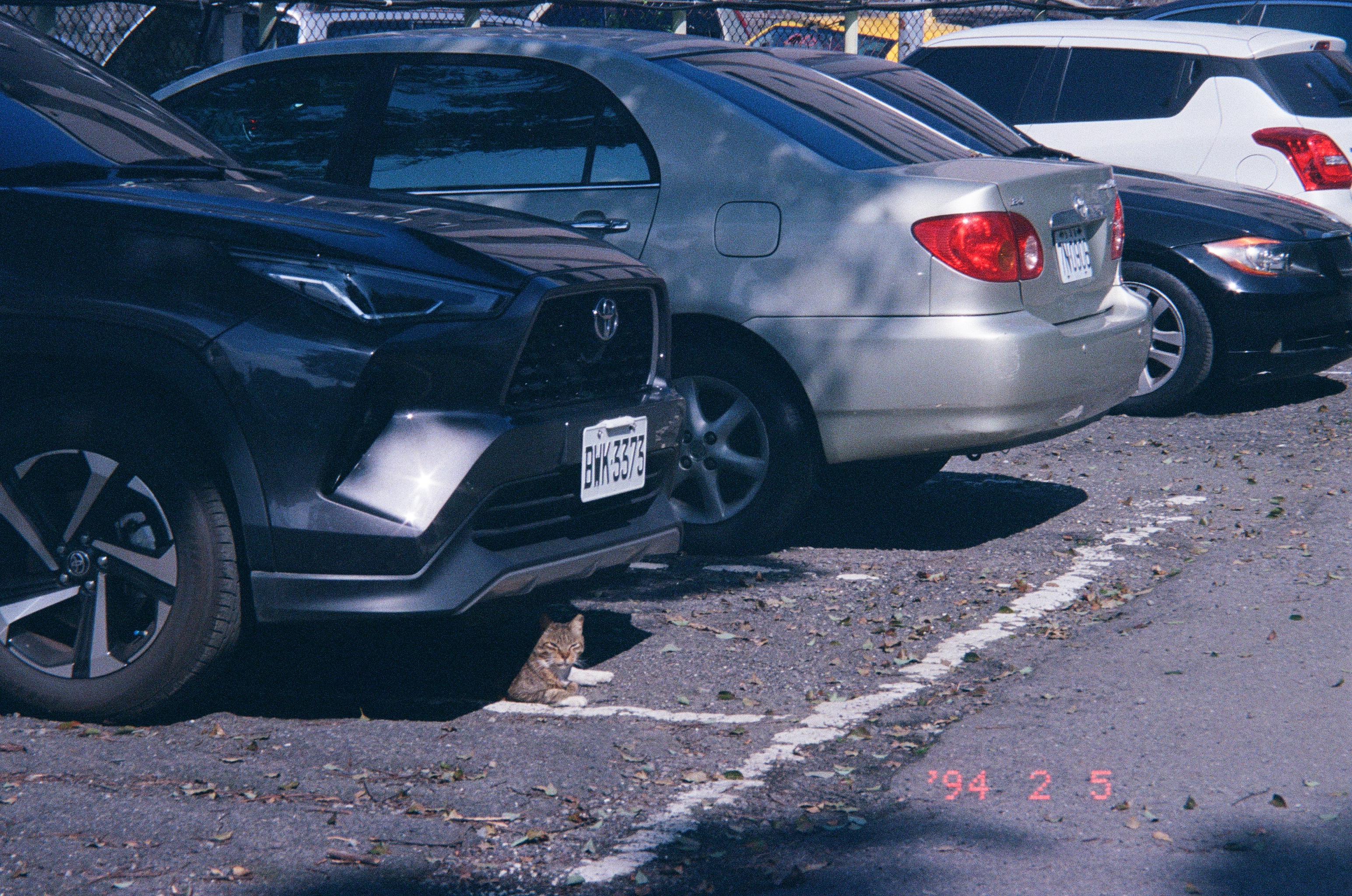 Roll #9 — Nikon ZOOM 500AF 5