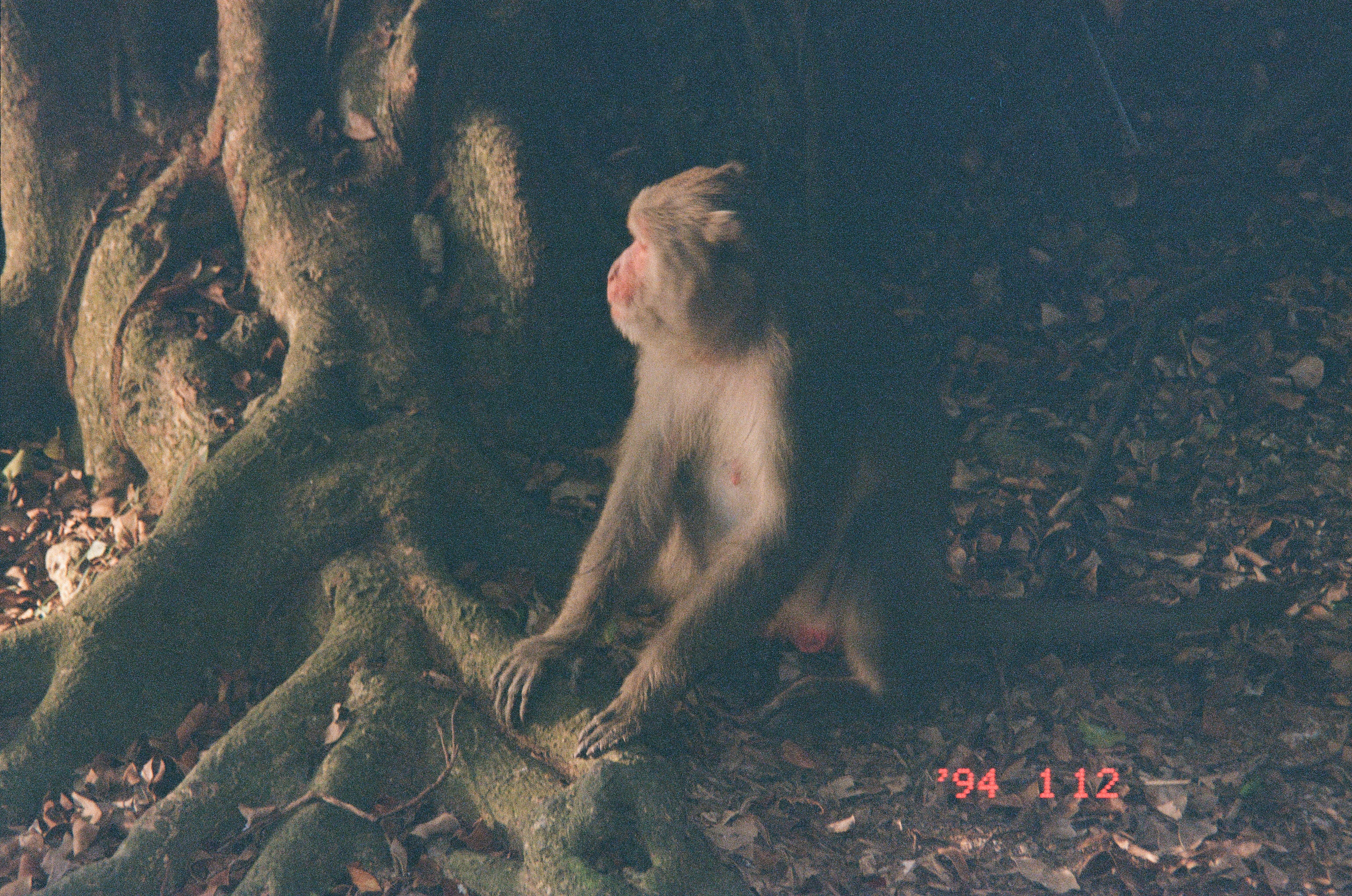 Roll #9 — Nikon ZOOM 500AF 16