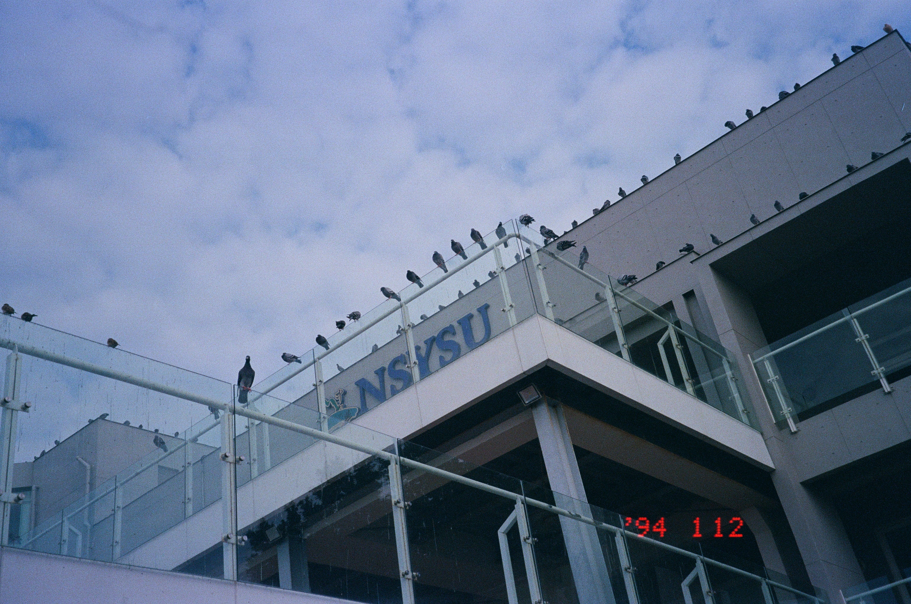 Roll #9 — Nikon ZOOM 500AF 18