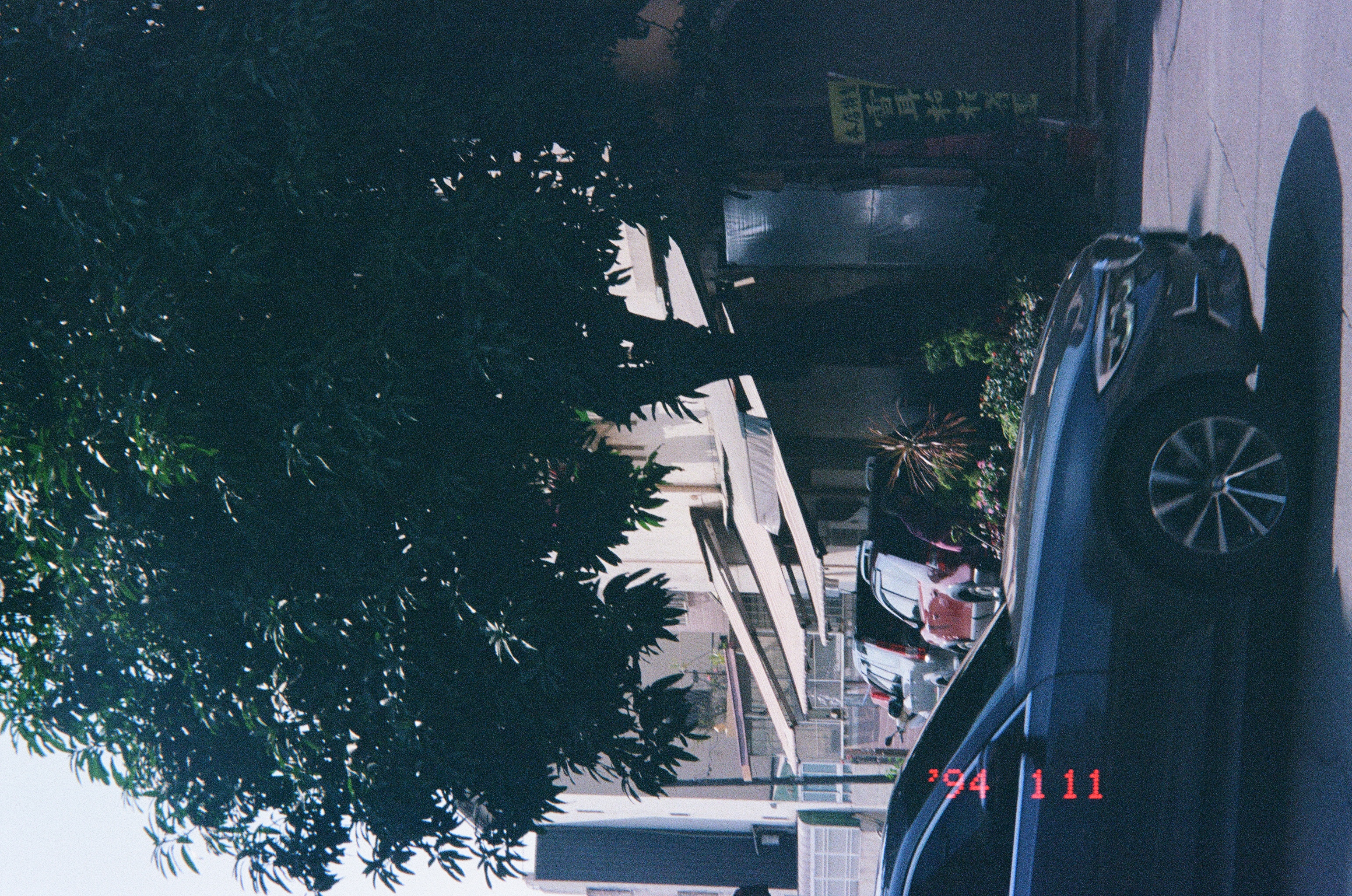 Roll #9 — Nikon ZOOM 500AF 26