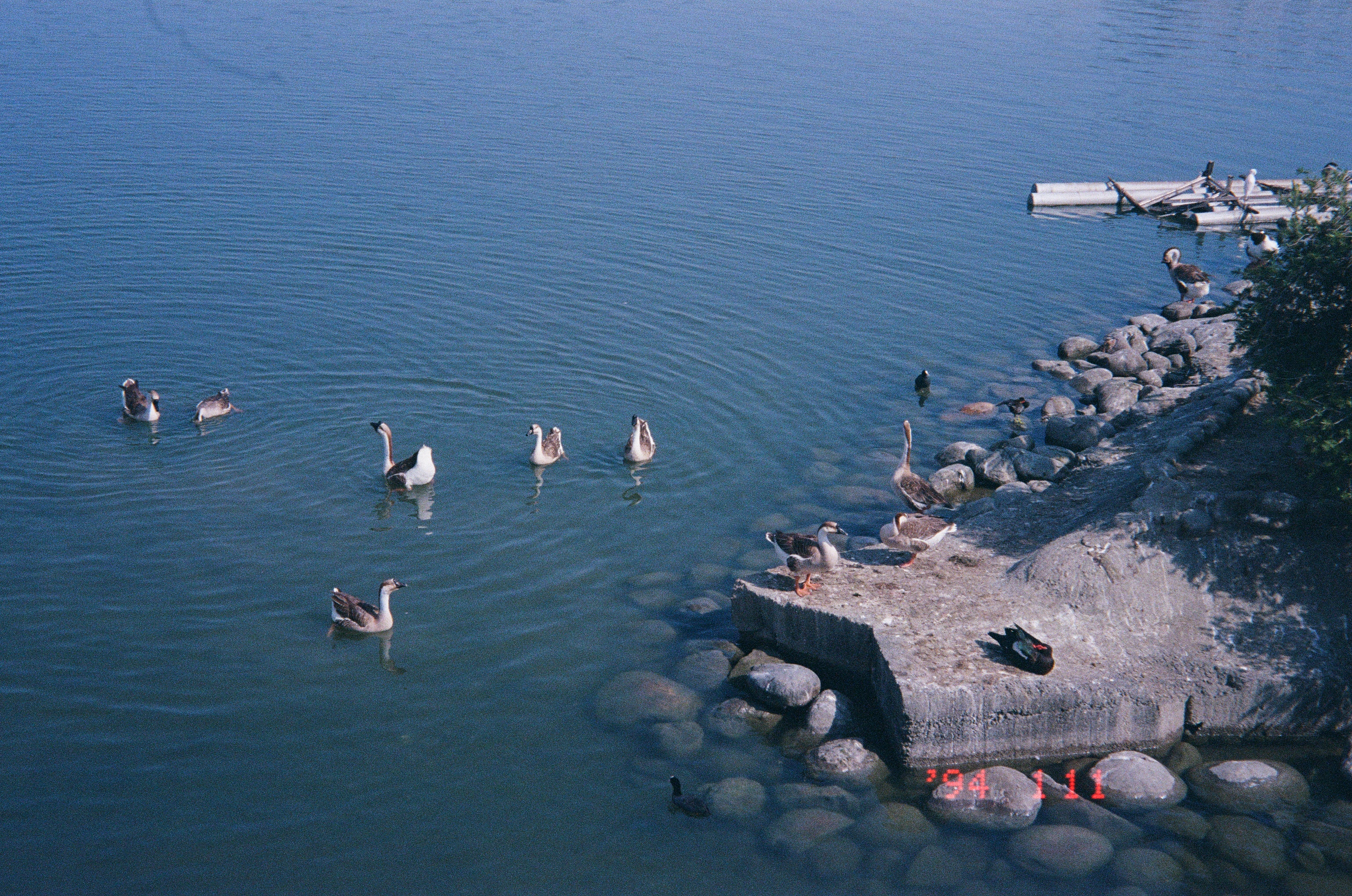 Roll #9 — Nikon ZOOM 500AF 28