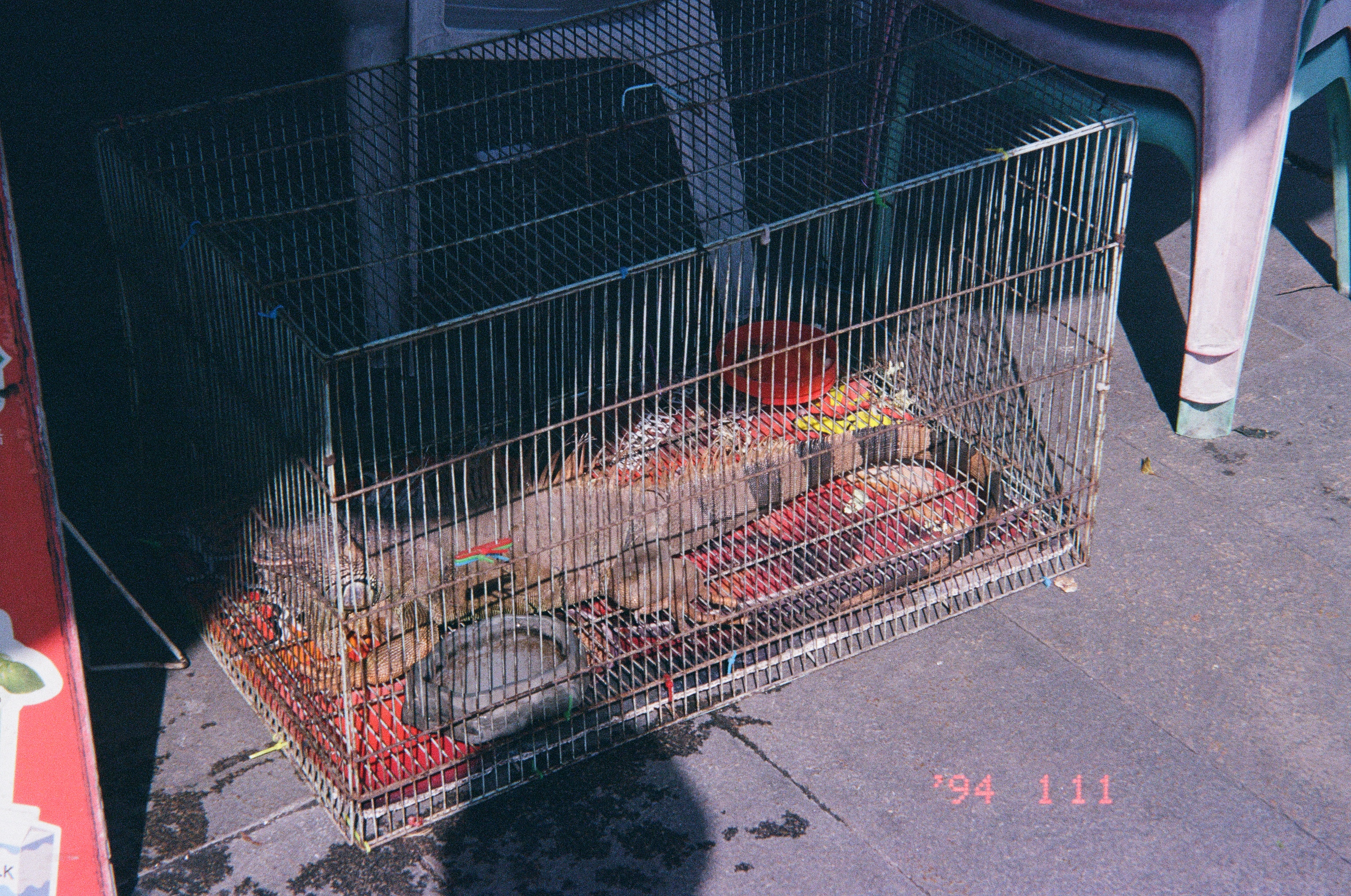 Roll #9 — Nikon ZOOM 500AF 31